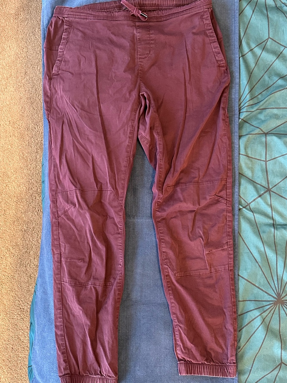 Eggplant BD climbing pants